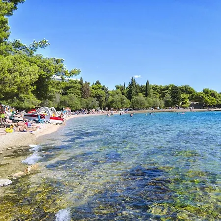 Ante * Vodice